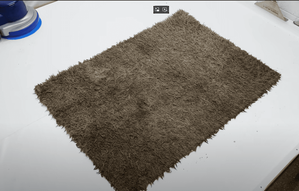 Before Carpet Cleaning