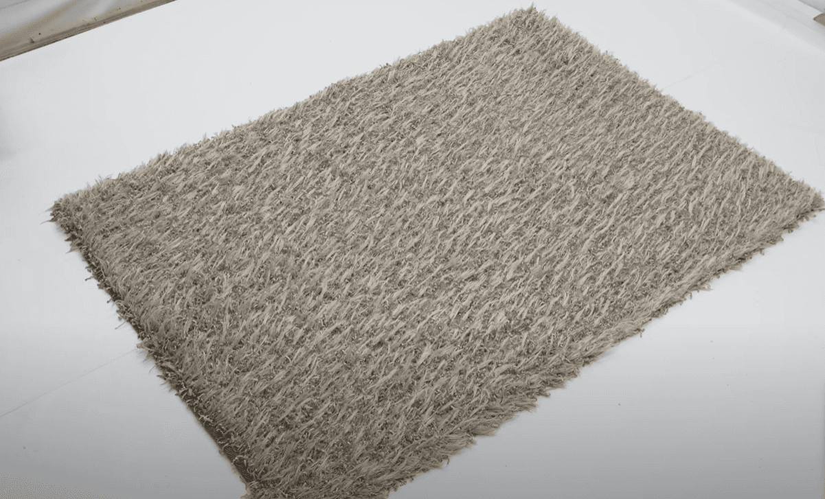 After Carpet Cleaning